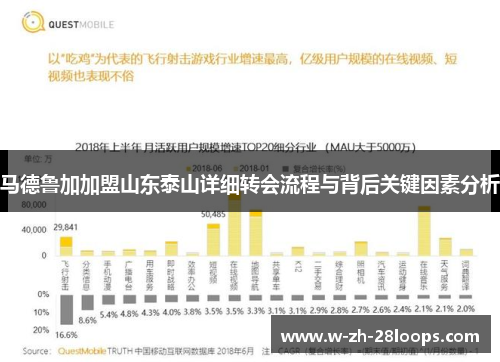 马德鲁加加盟山东泰山详细转会流程与背后关键因素分析