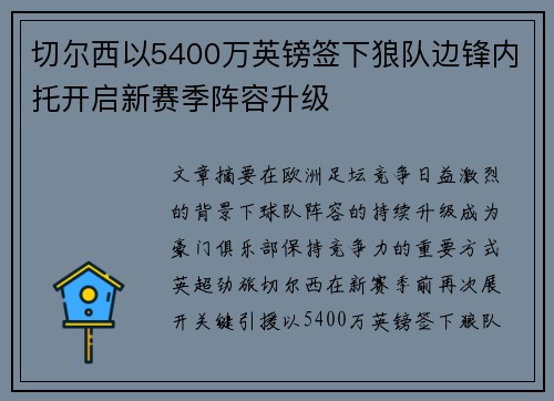 切尔西以5400万英镑签下狼队边锋内托开启新赛季阵容升级
